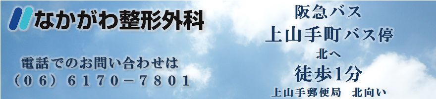 �Ȃ����퐮�`�O�� �z�E���E�G�� ���n�r���ŉ��P